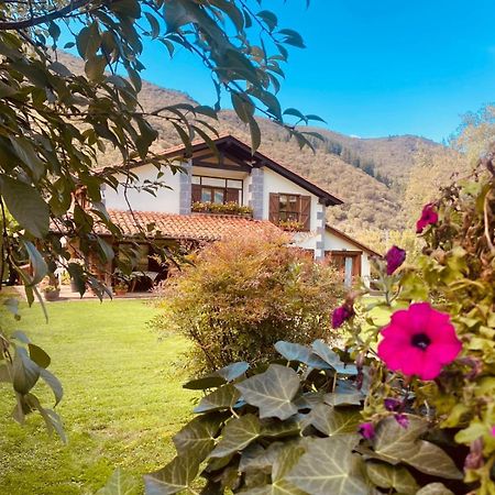 Excepcional Casa El Olivo Villa Ojedo Dış mekan fotoğraf
