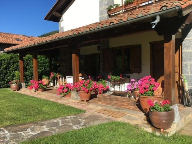 Excepcional Casa El Olivo Villa Ojedo Dış mekan fotoğraf