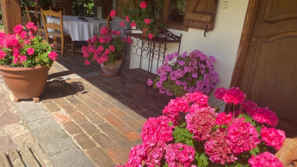 Excepcional Casa El Olivo Villa Ojedo Dış mekan fotoğraf