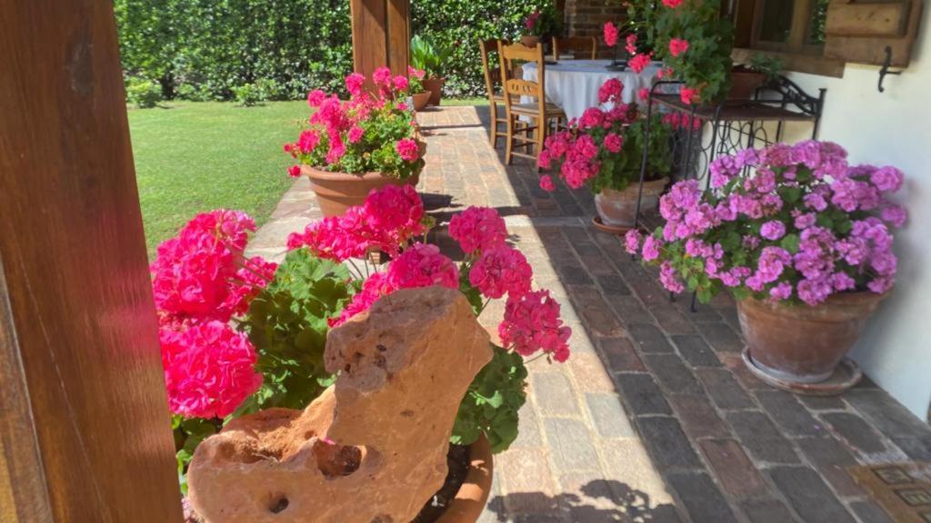 Excepcional Casa El Olivo Villa Ojedo Dış mekan fotoğraf