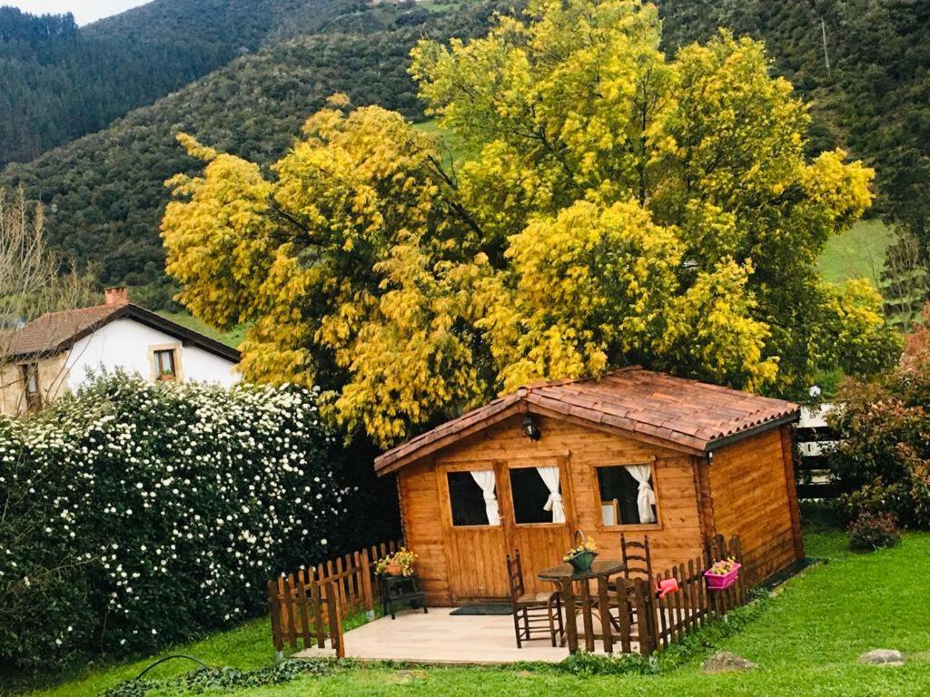 Excepcional Casa El Olivo Villa Ojedo Dış mekan fotoğraf