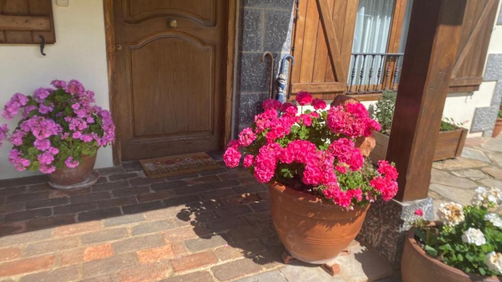 Excepcional Casa El Olivo Villa Ojedo Dış mekan fotoğraf
